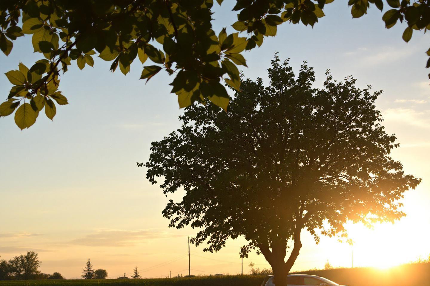 Chaleur dans la voiture : astuces pour rester au frais en été